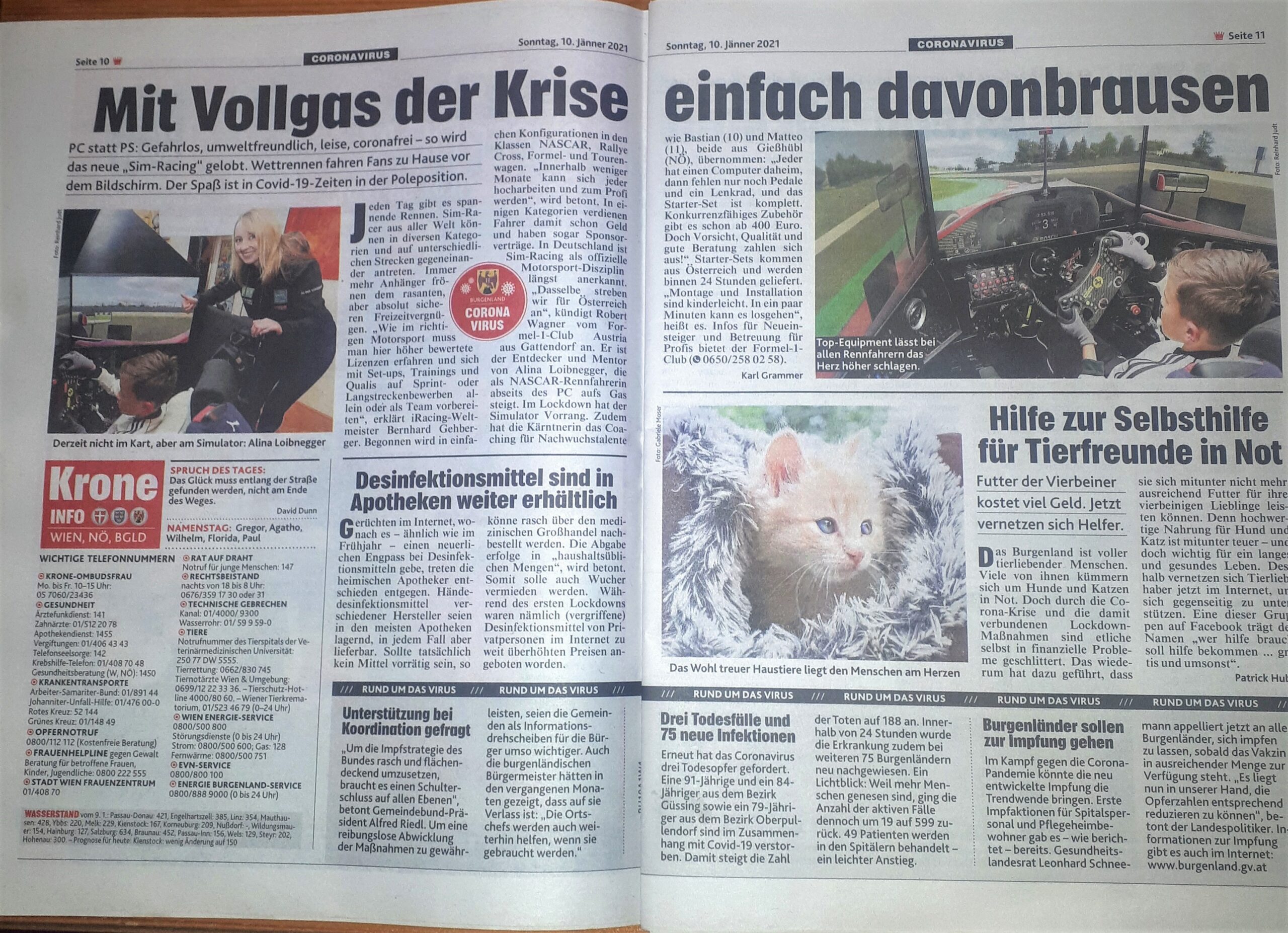 Bericht der Kronen Zeitung Wien